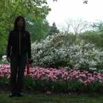 grace_tulips