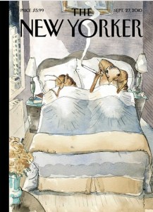 bedbugs