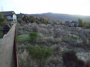 scenery1