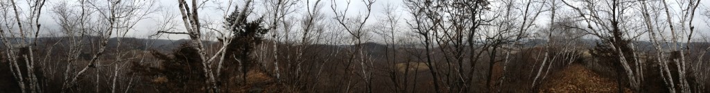 woods
