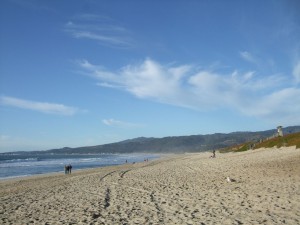 DSCF5997